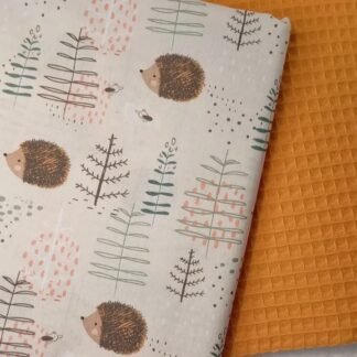 Erizo del Bosque & Waffle Calabaza